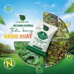 468861438737b8681a7f917308adba03