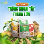 5a2052b271d9c41ea06a1449c417537b