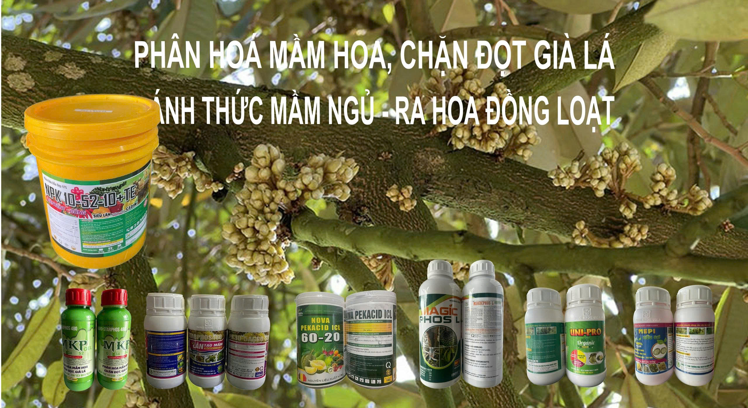 z7077067474836_51fada55204b2500f2526d47bed9c4d5