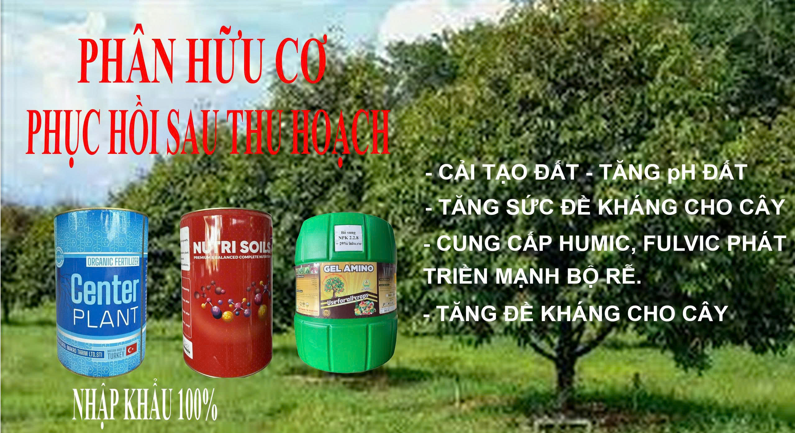 z7077067485932_52b7924d5d3af42c71d6d37d99809708