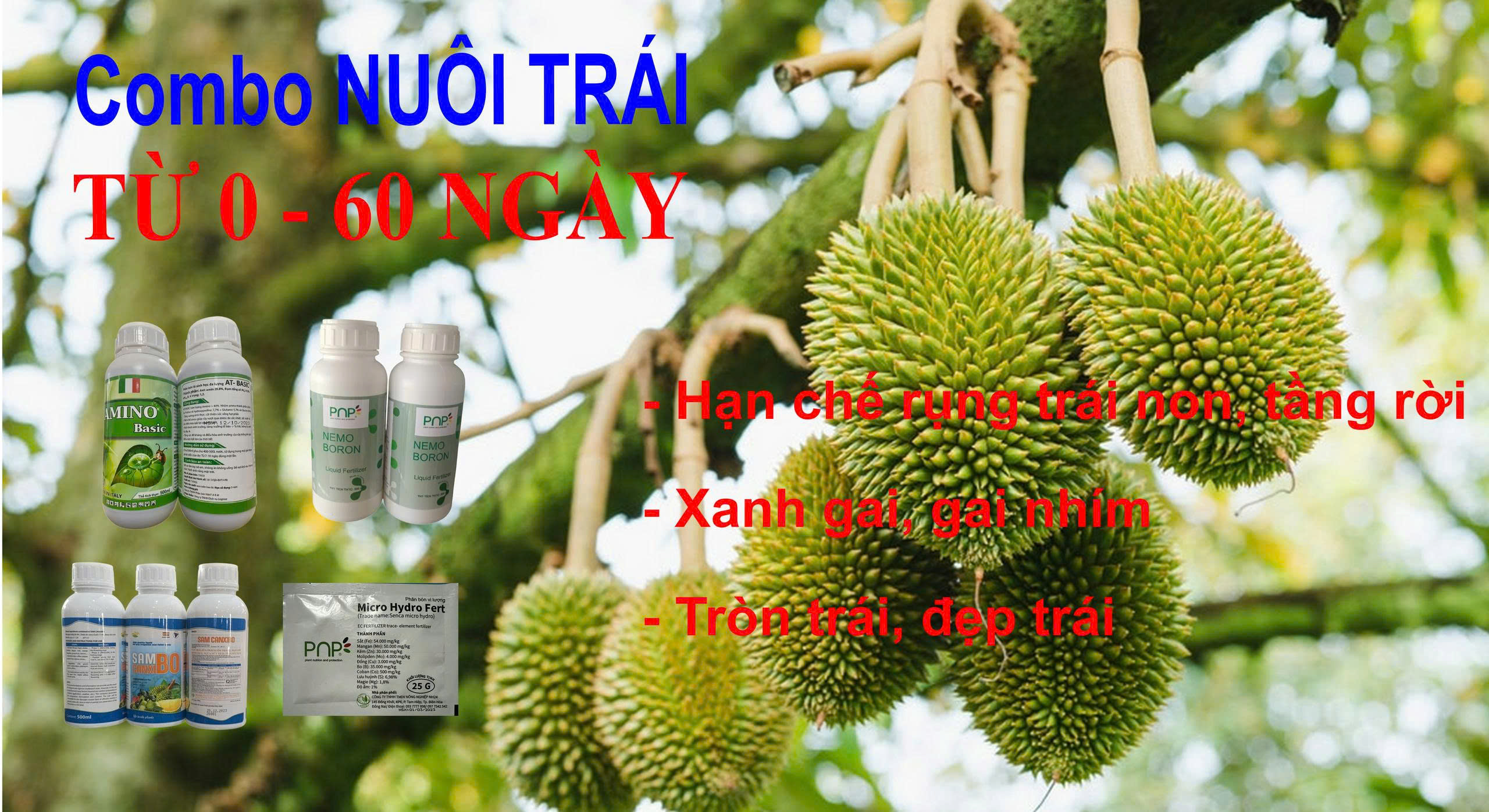 z7077067502250_c3d7a33884e937aafce844c4789188d8